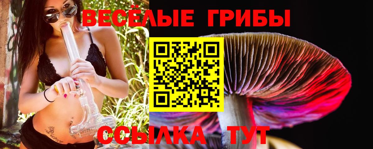 Галлюциногенные грибы ЛСД Муром
